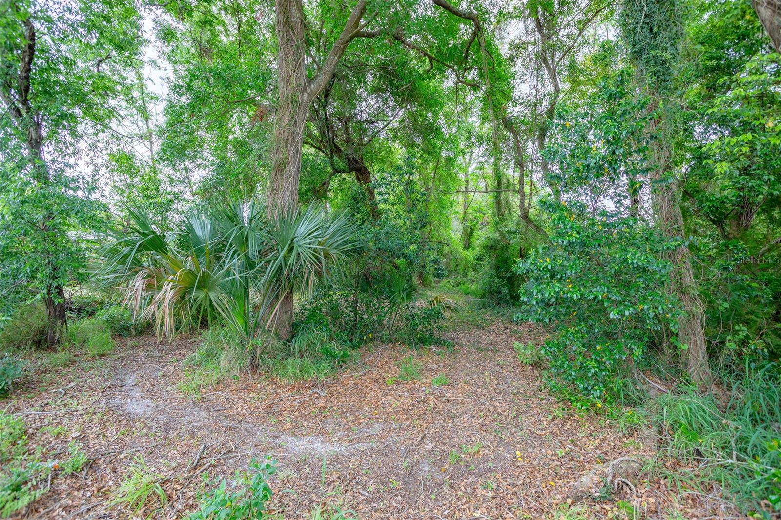 217 N NOWELL ST, ORLANDO, FL, 32835