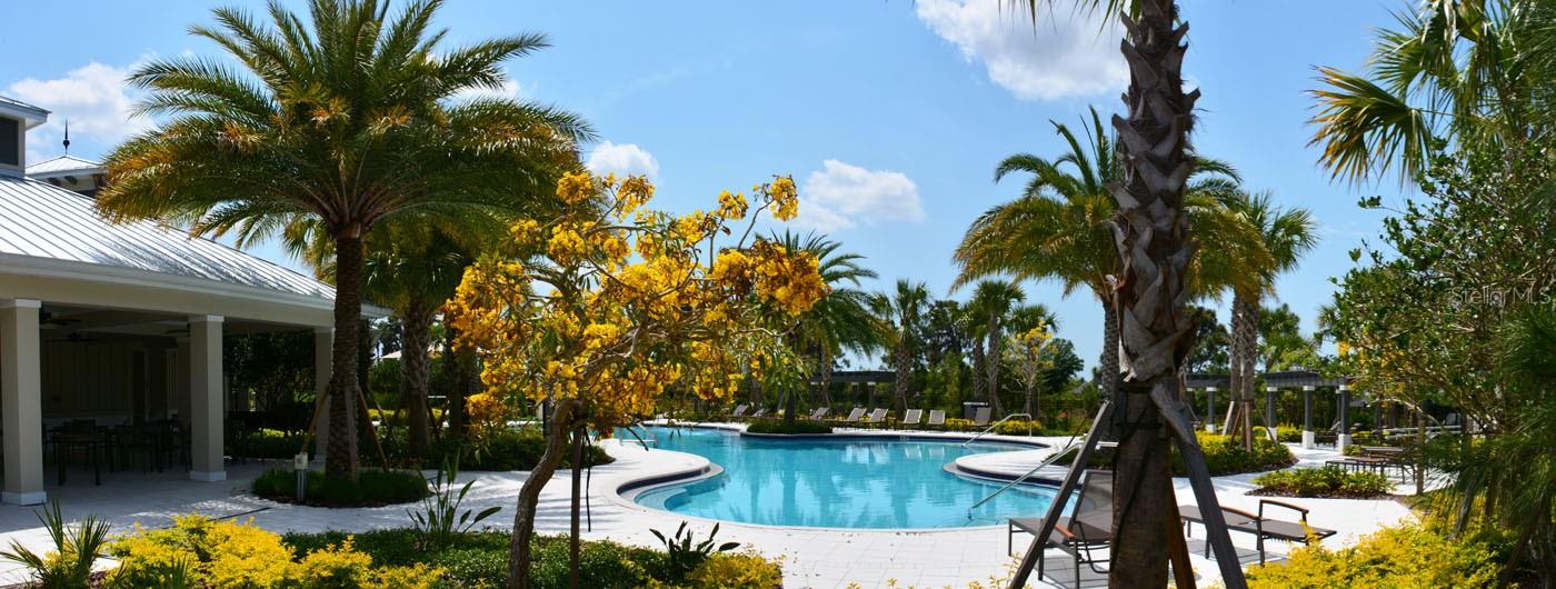 Community Clubhouse Pool