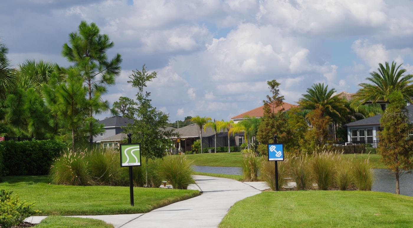 Community Exercise Station