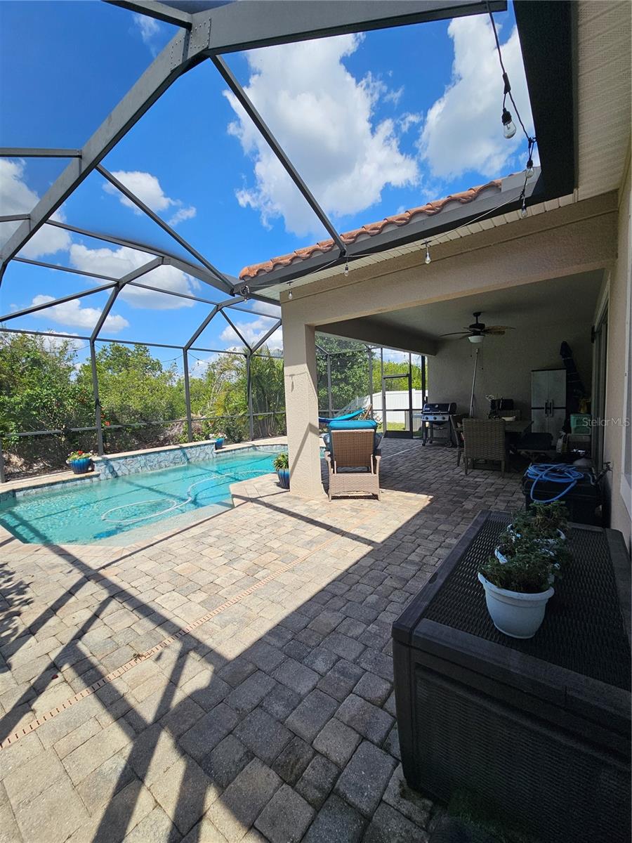 Large Screen Enclosed Lani with Saltwater