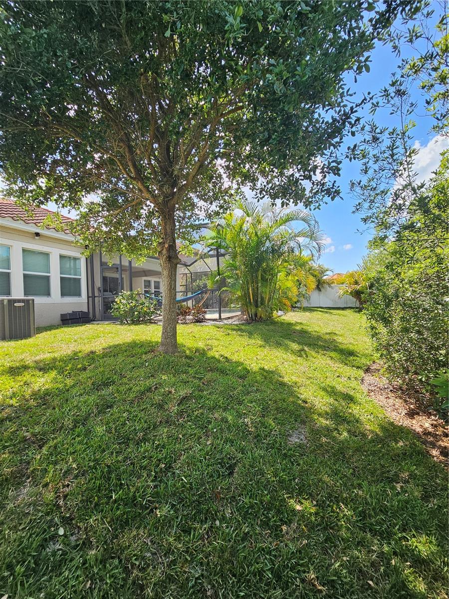 Yard Backs up to Conservation lotNo Backyard Neighbors