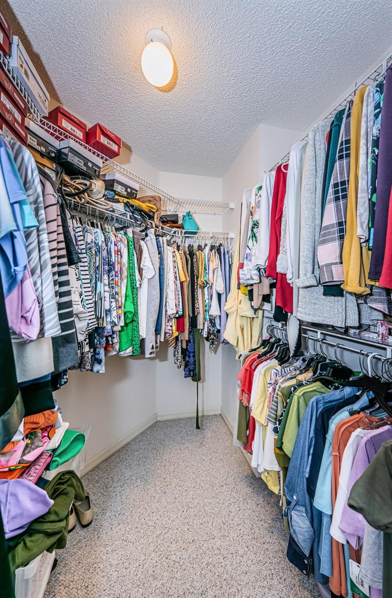 9636 BROOKDALE DR, NEW PORT RICHEY, FL, 34655