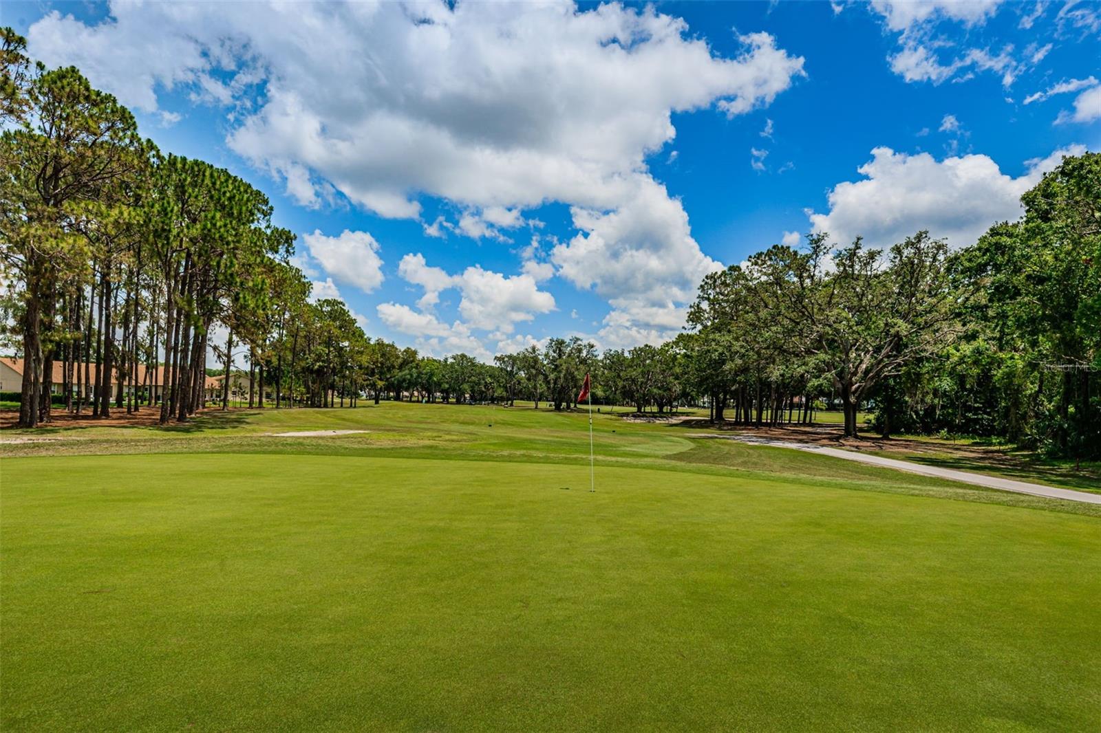 9636 BROOKDALE DR, NEW PORT RICHEY, FL, 34655