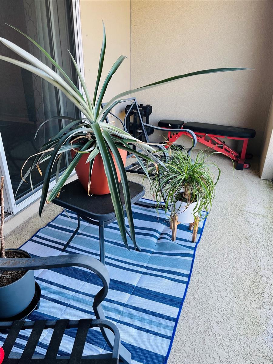 3037 JACOB CROSSING LN, HOLIDAY, FL, 34691