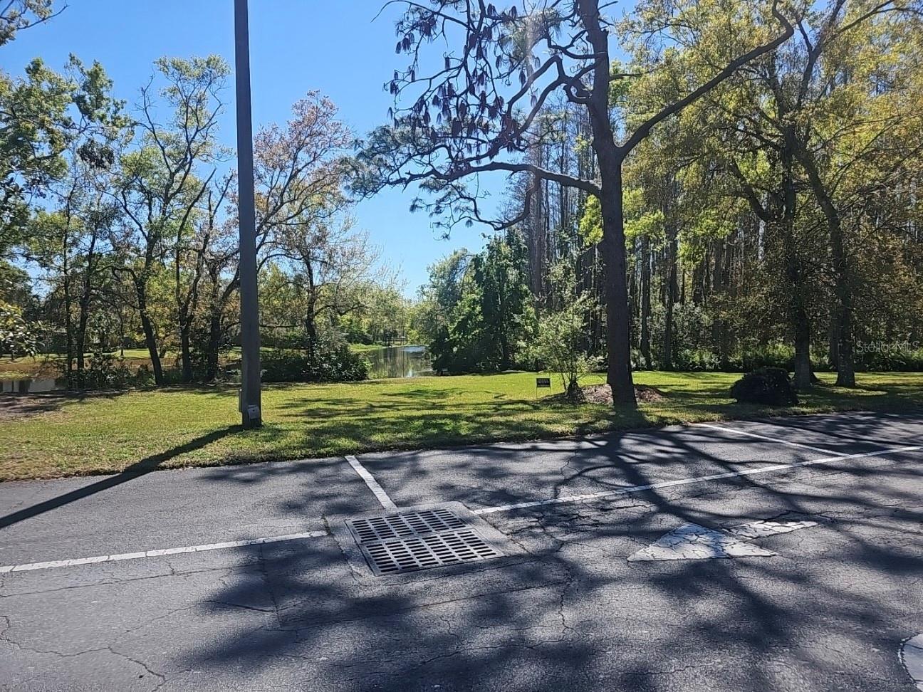 15100 HUTCHISON RD, TAMPA, FL, 33625