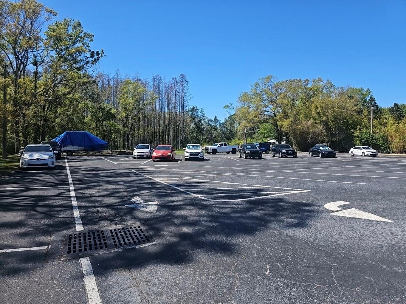 15100 HUTCHISON RD, TAMPA, FL, 33625