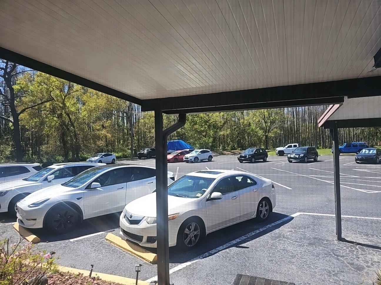 15100 HUTCHISON RD, TAMPA, FL, 33625