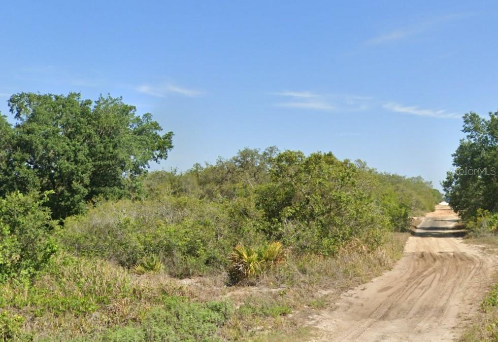 2869 W HAVILAND RD, AVON PARK, FL, 33825