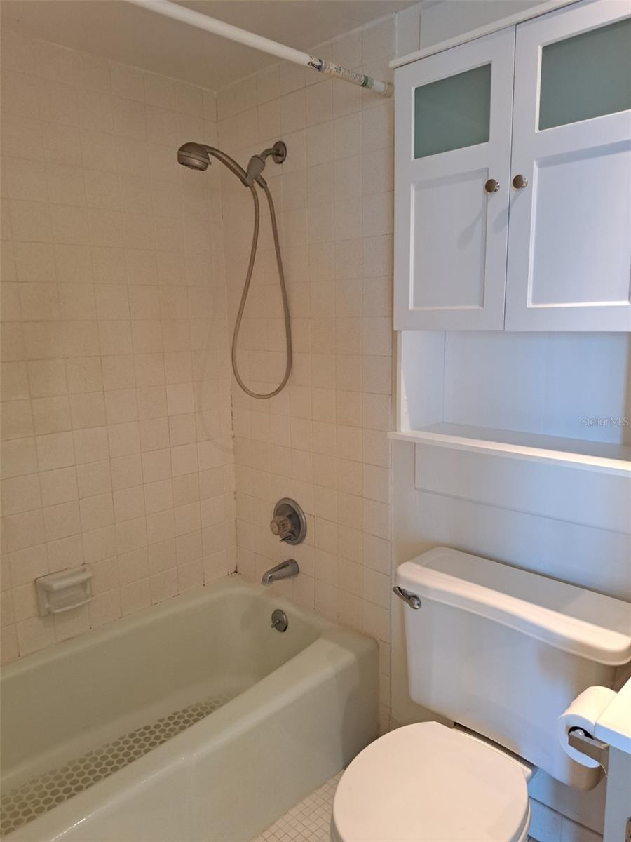 255 DOLPHIN PT #1006, CLEARWATER BEACH, FL, 33767