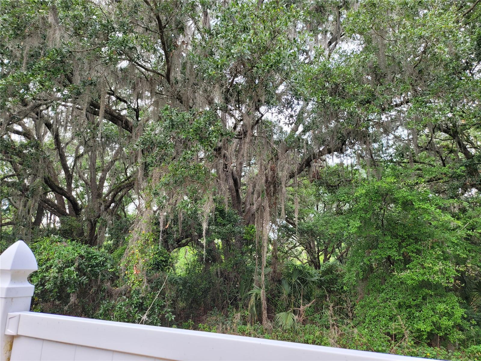 4814 MYRTLE VIEW DR N, MULBERRY, FL, 33860