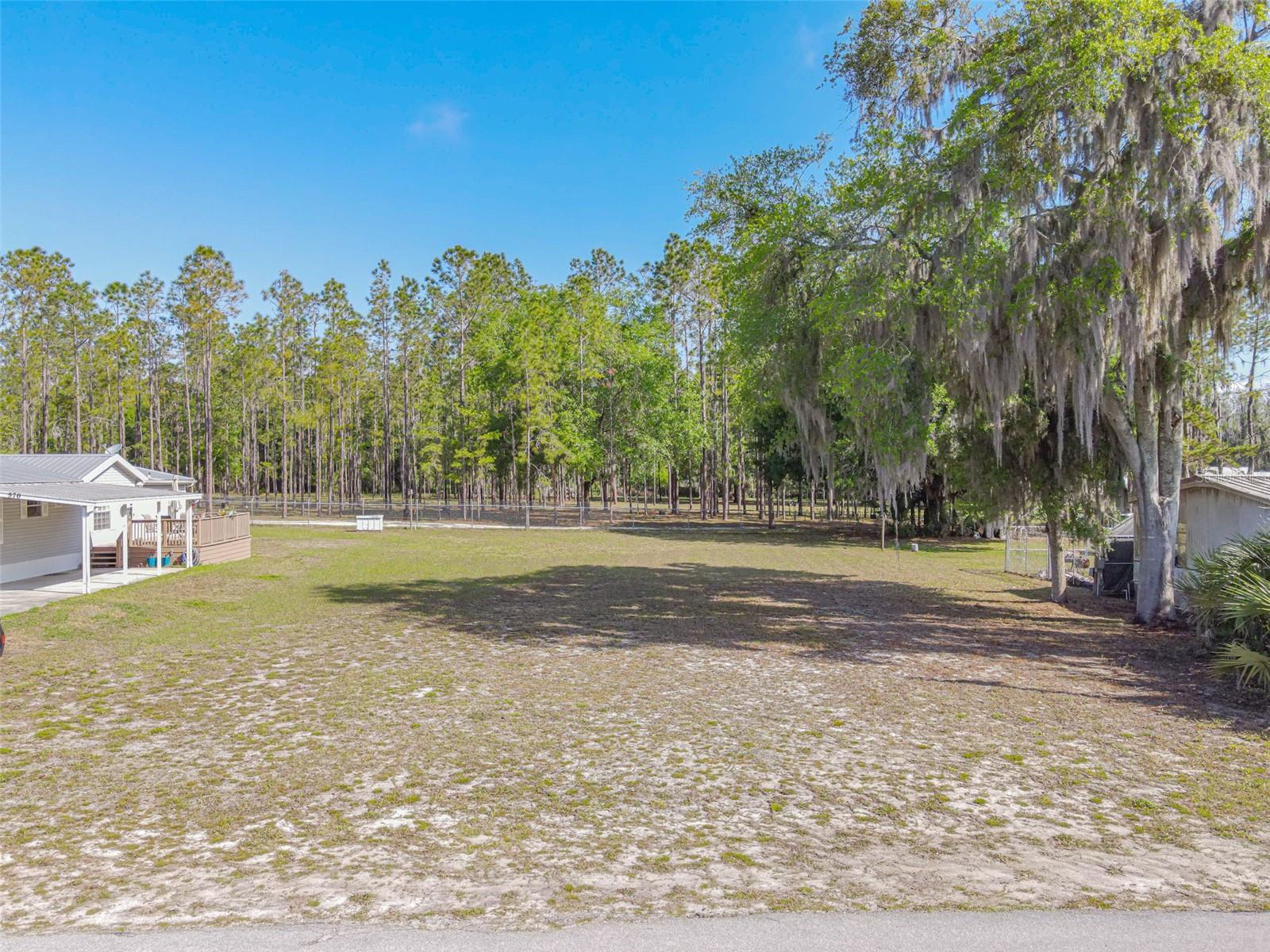 TBD CR 486, LAKE PANASOFFKEE, FL, 33538