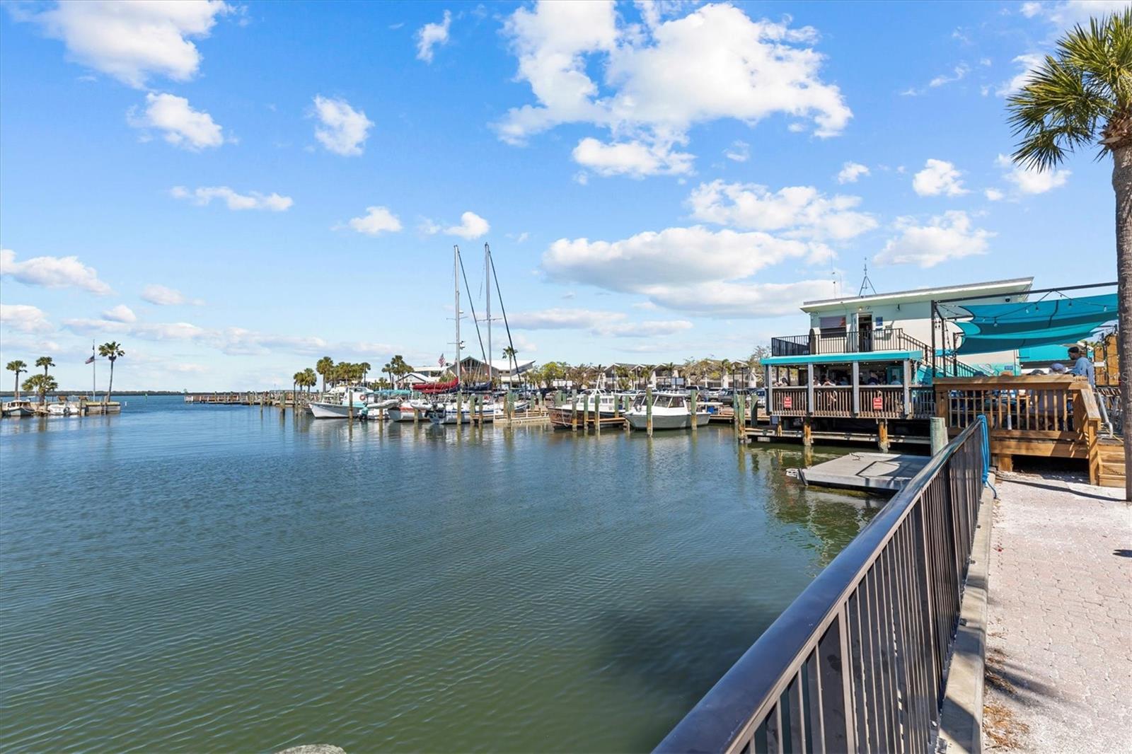 407 BIRDSONG LN, DUNEDIN, FL, 34698