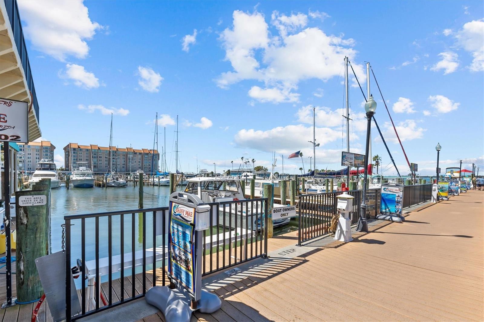 407 BIRDSONG LN, DUNEDIN, FL, 34698