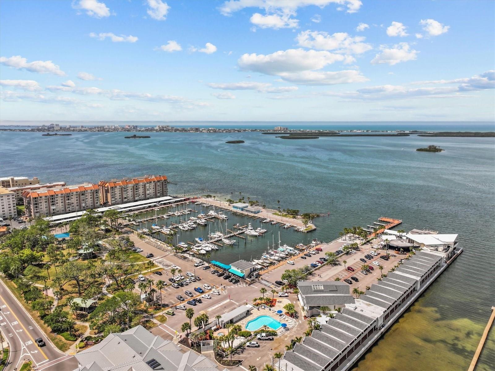 407 BIRDSONG LN, DUNEDIN, FL, 34698