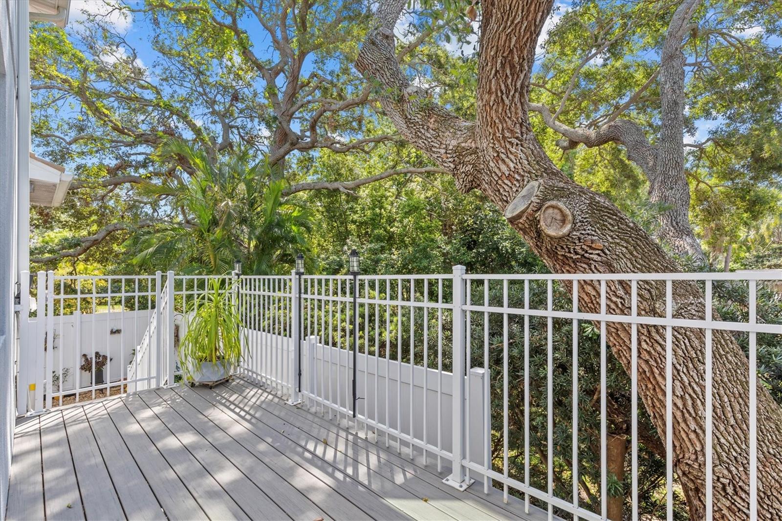 407 BIRDSONG LN, DUNEDIN, FL, 34698