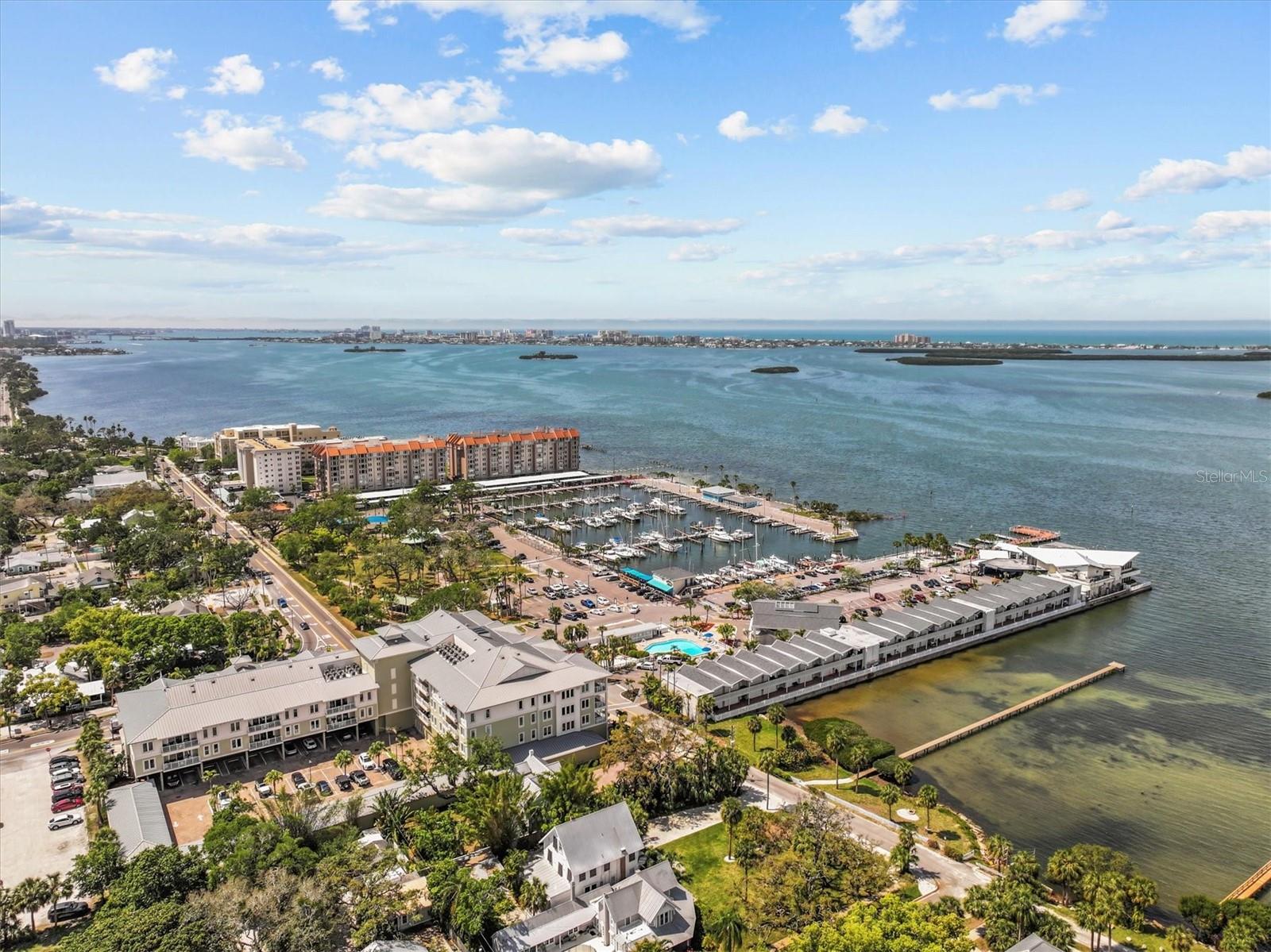 407 BIRDSONG LN, DUNEDIN, FL, 34698