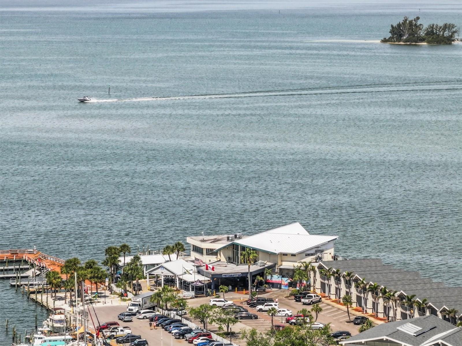 407 BIRDSONG LN, DUNEDIN, FL, 34698