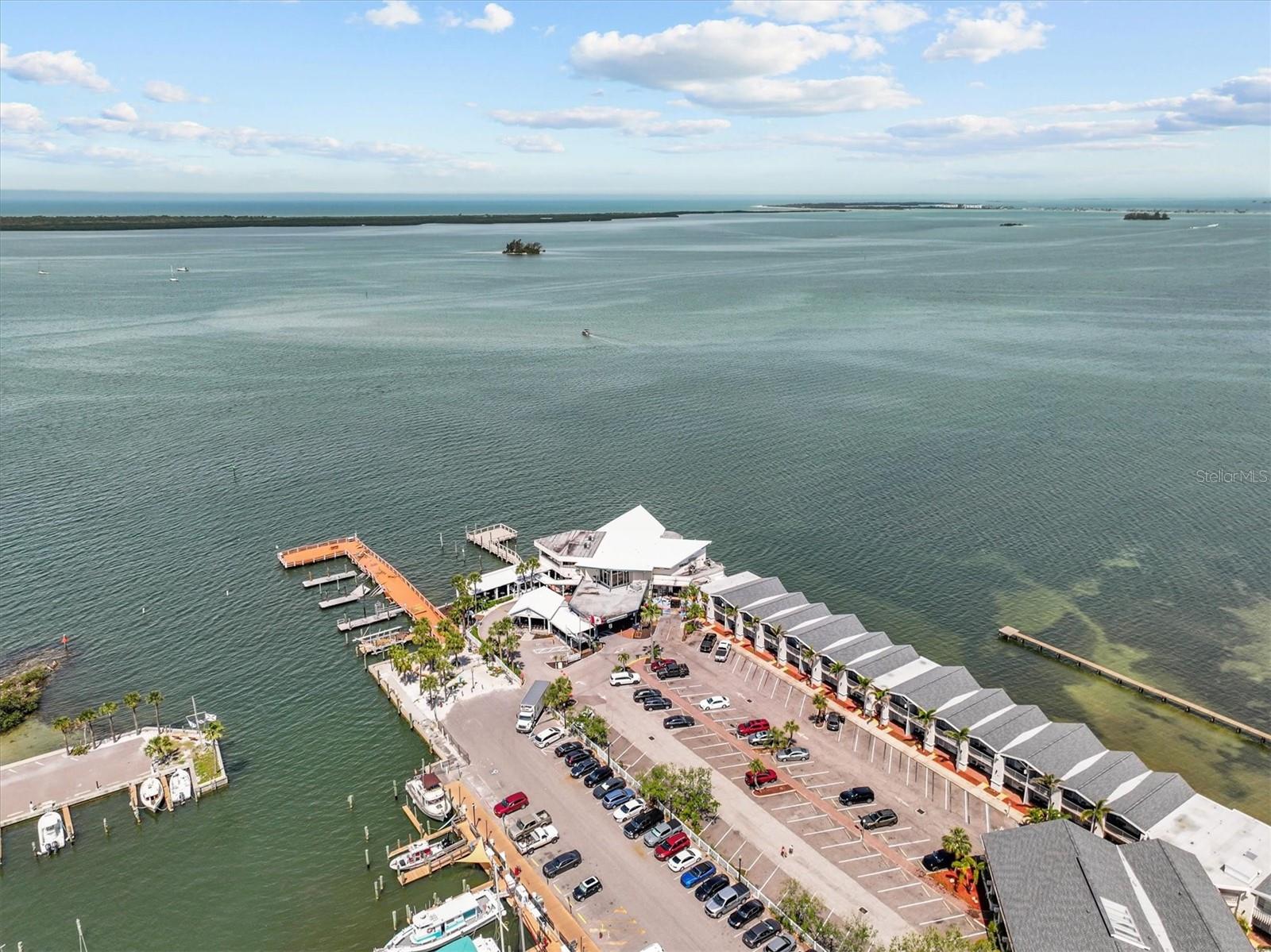 407 BIRDSONG LN, DUNEDIN, FL, 34698