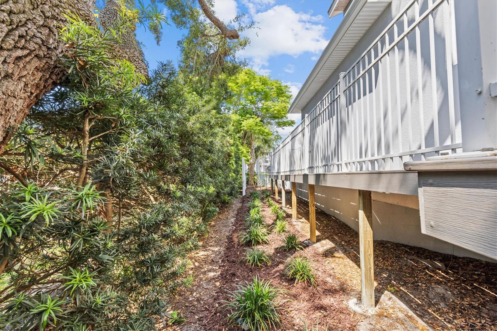 407 BIRDSONG LN, DUNEDIN, FL, 34698