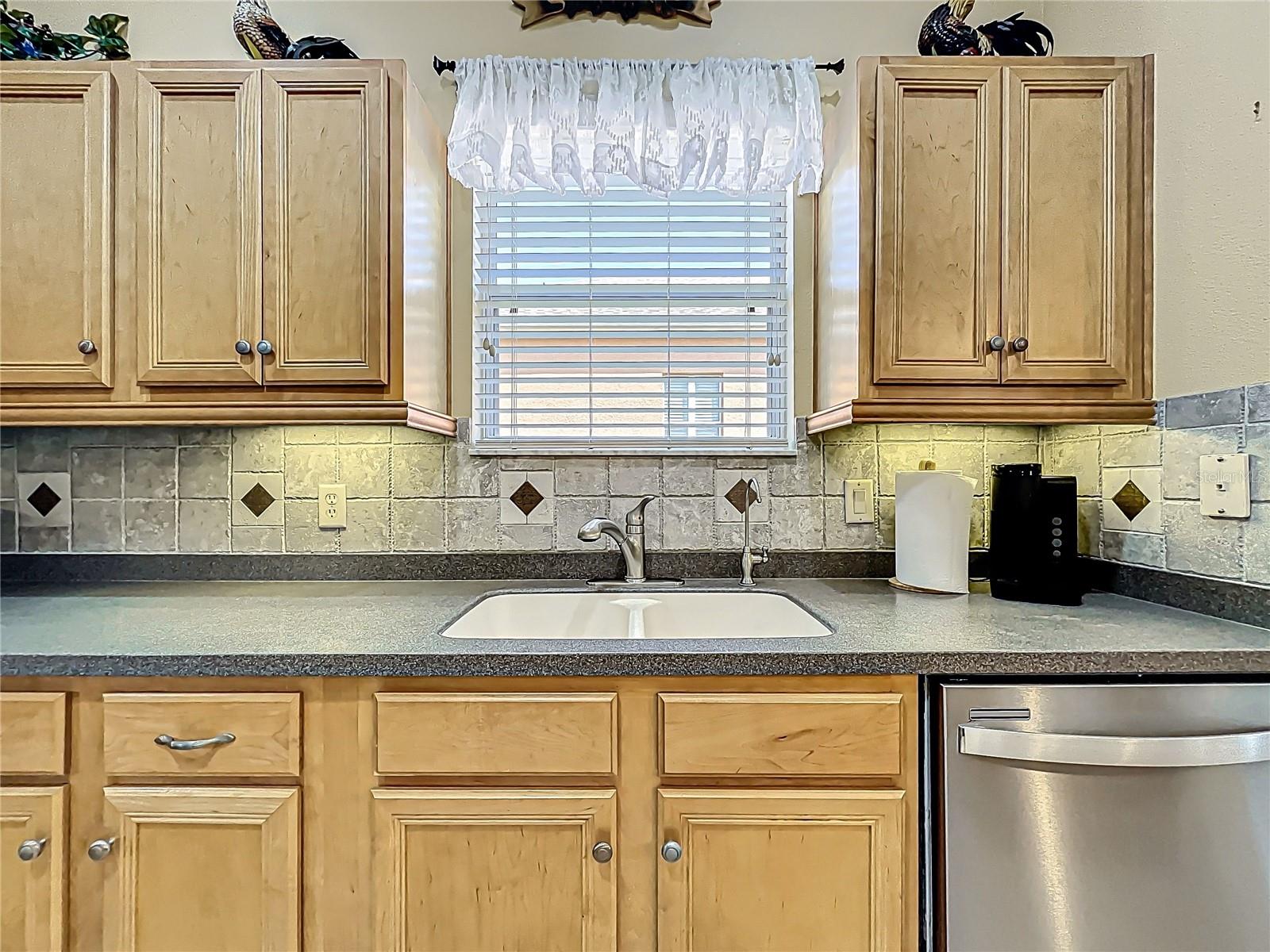 3551 MULBERRY GROVE LOOP, LEESBURG, FL, 34748