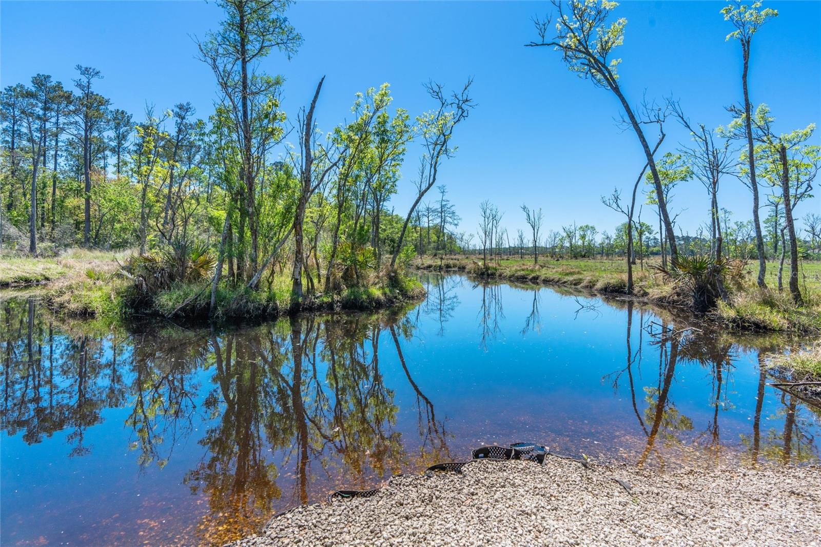 5736 GUANA PARK, JACKSONVILLE, FL, 32244