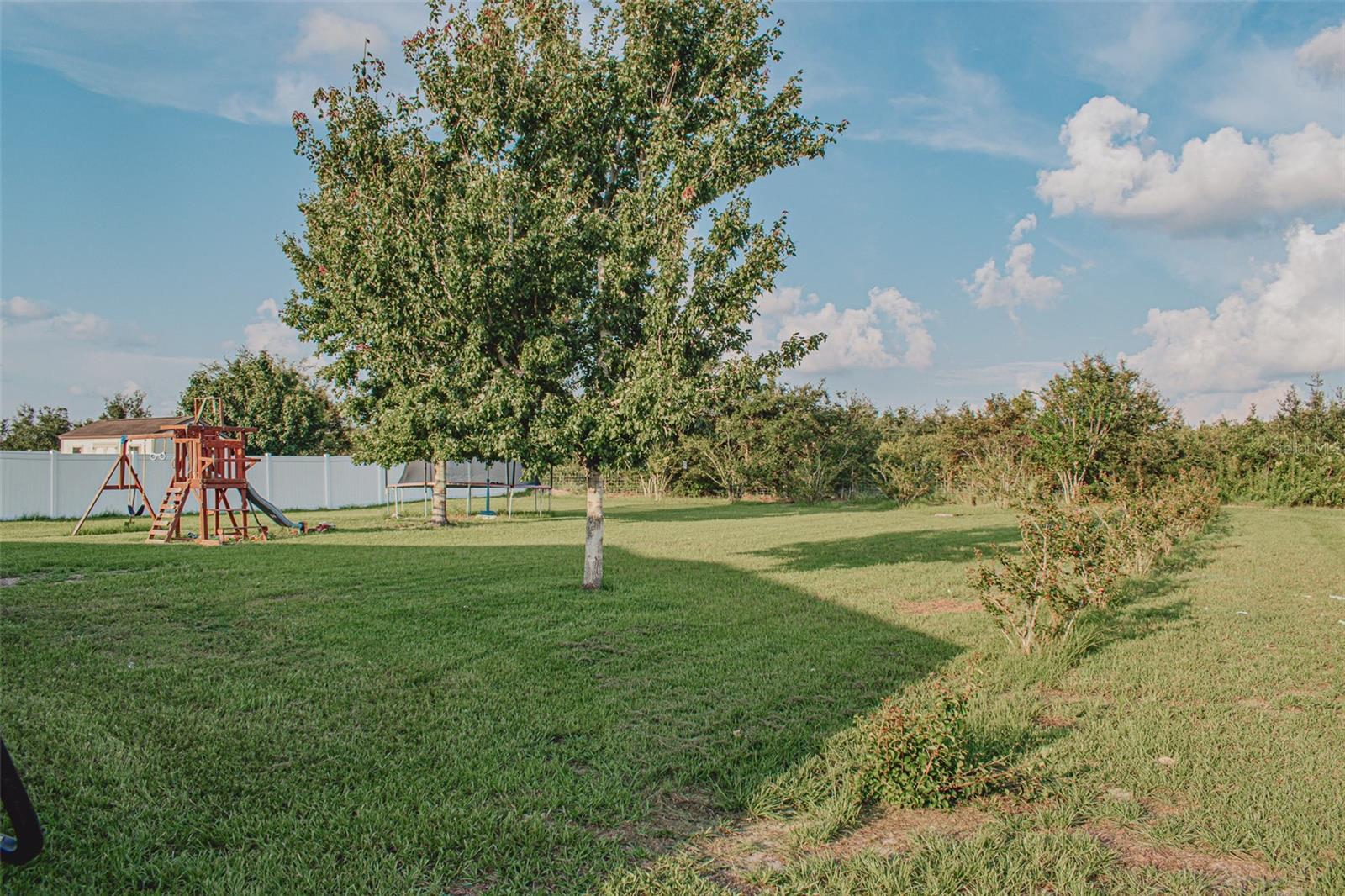 10873 SW 38TH AVE, OCALA, FL, 34476