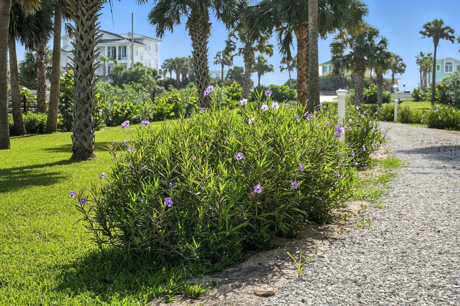 3162 N OCEAN SHORE BLVD, FLAGLER BEACH, FL, 32136