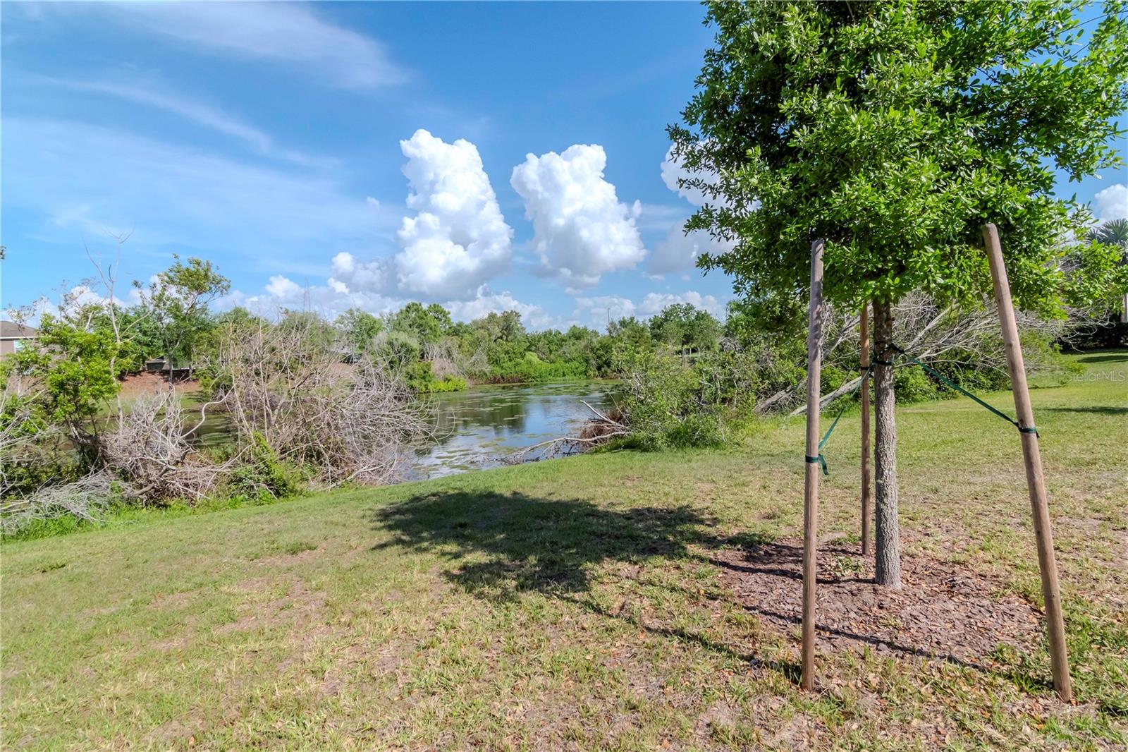 12310 STREAMBED DR, RIVERVIEW, FL, 33579