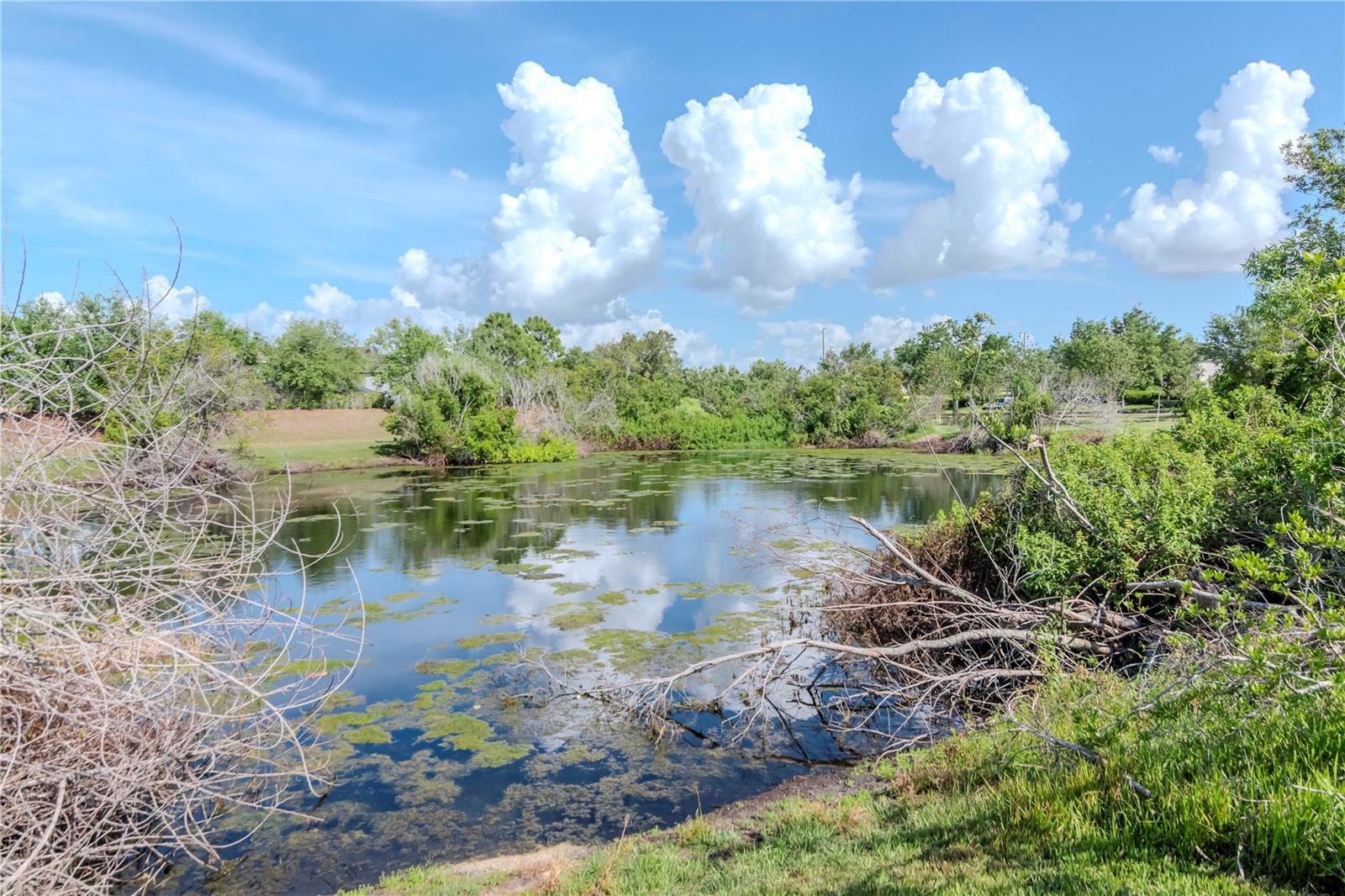 12310 STREAMBED DR, RIVERVIEW, FL, 33579