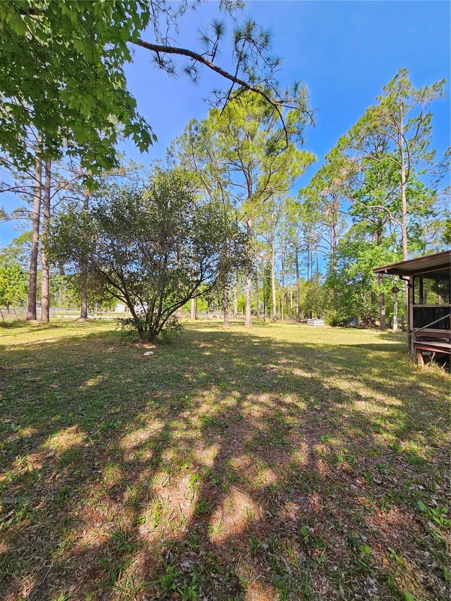 2667 PINE ST, BUNNELL, FL, 32110