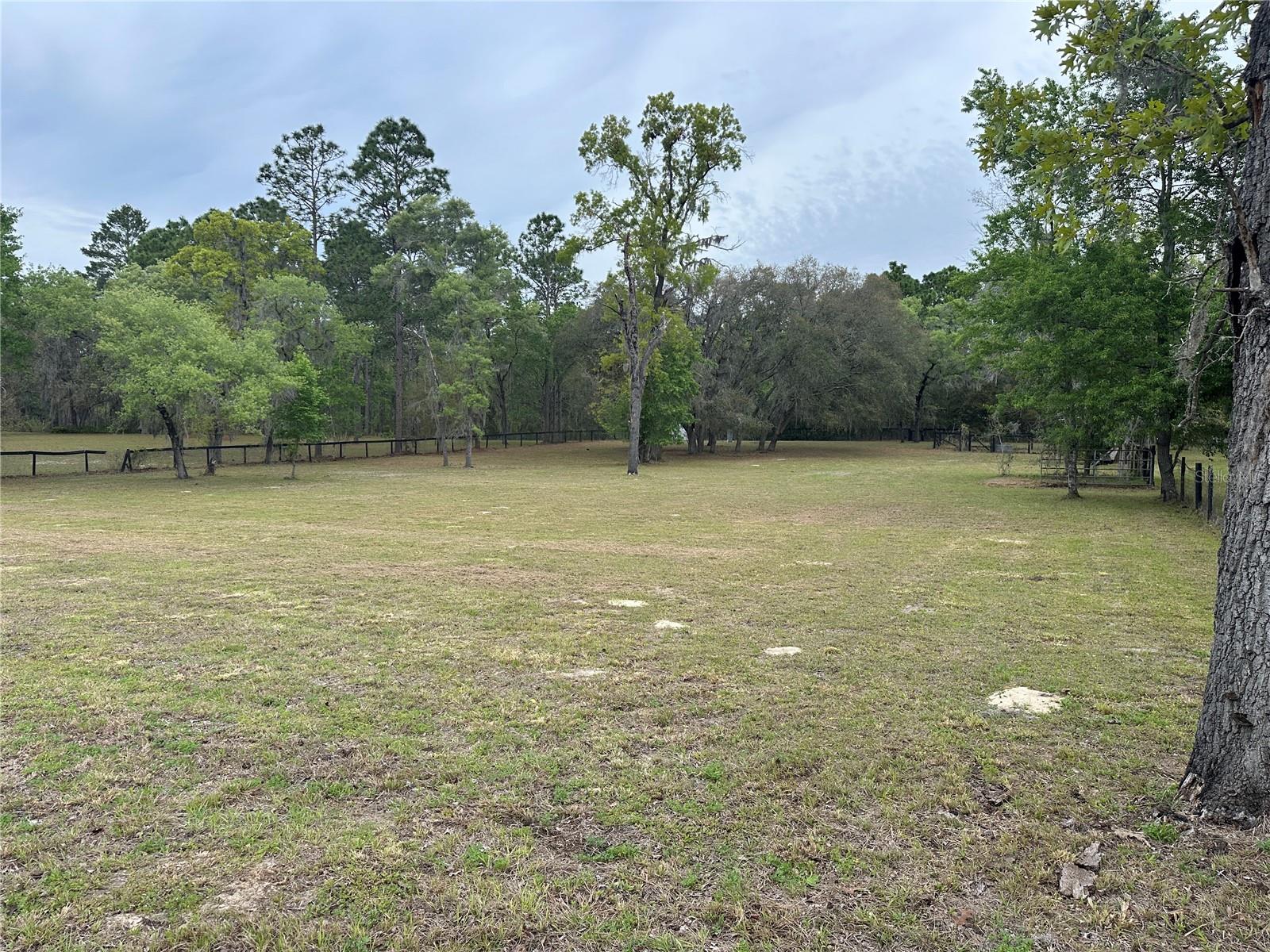 SE 57TH STREET, MORRISTON, FL, 32668