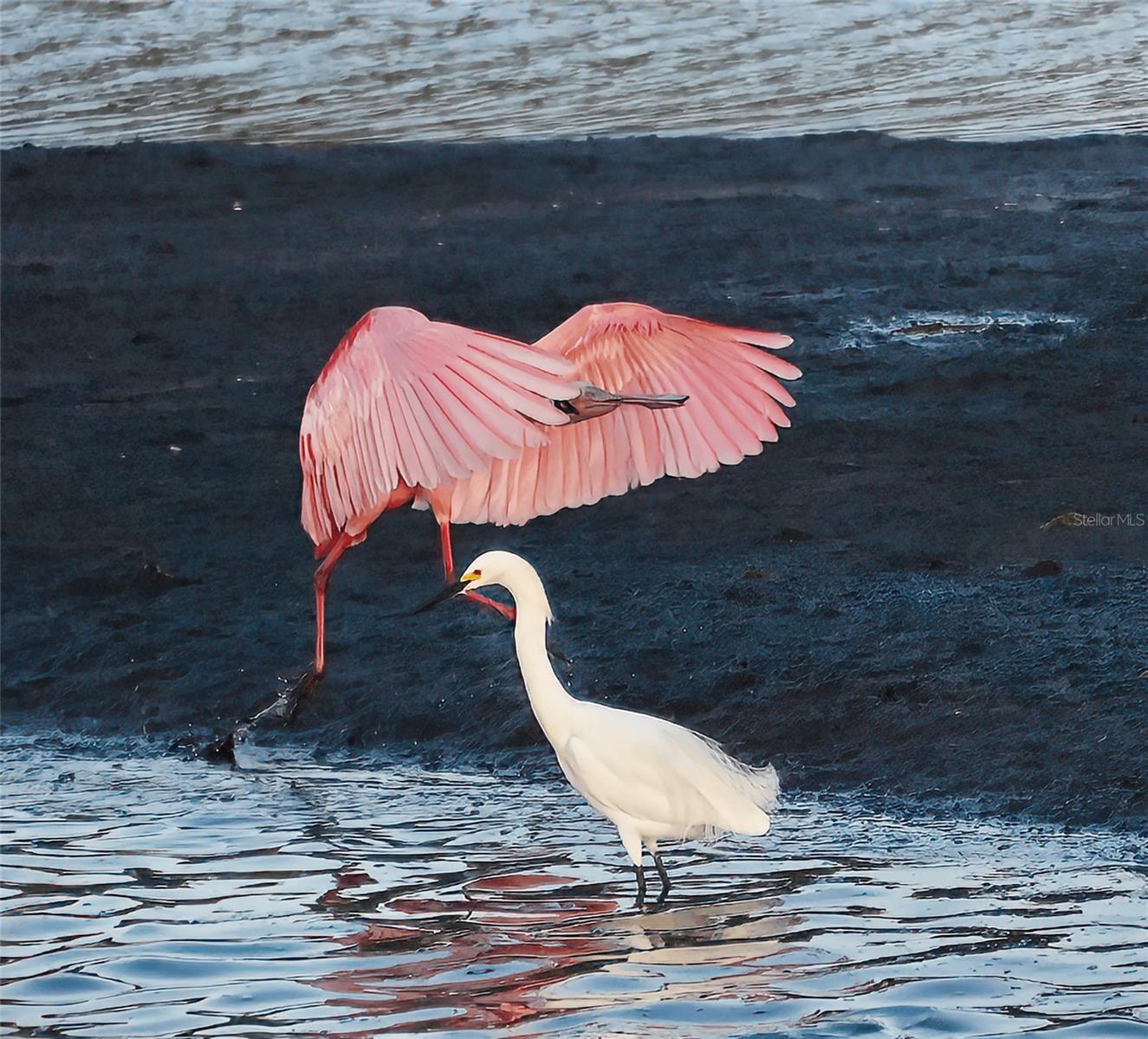 8202 17TH AVE W, BRADENTON, FL, 34209