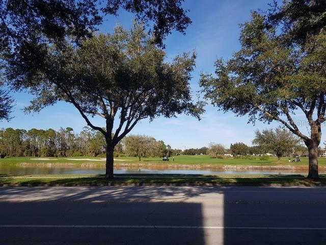 1036 WATERSIDE DR, CELEBRATION, FL, 34747