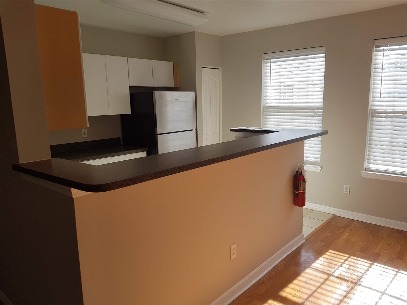 1036 WATERSIDE DR, CELEBRATION, FL, 34747