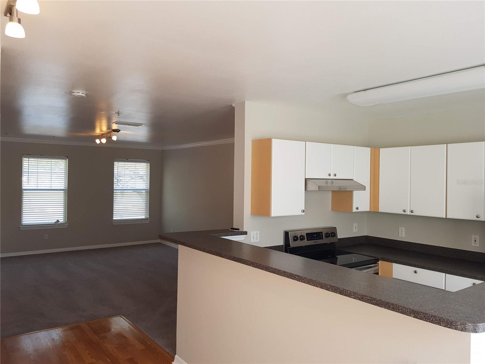 1036 WATERSIDE DR, CELEBRATION, FL, 34747