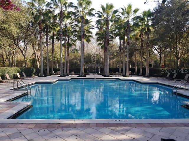 1036 WATERSIDE DR, CELEBRATION, FL, 34747