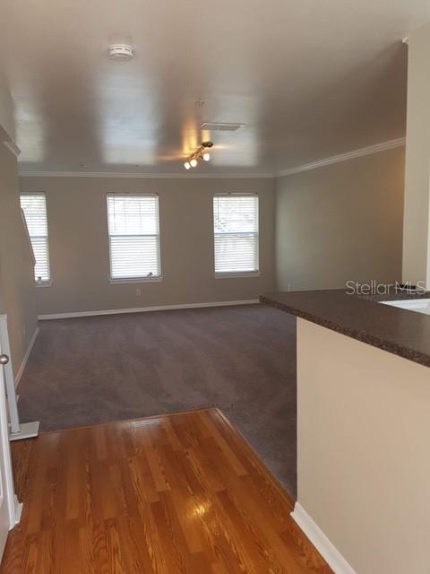 1036 WATERSIDE DR, CELEBRATION, FL, 34747