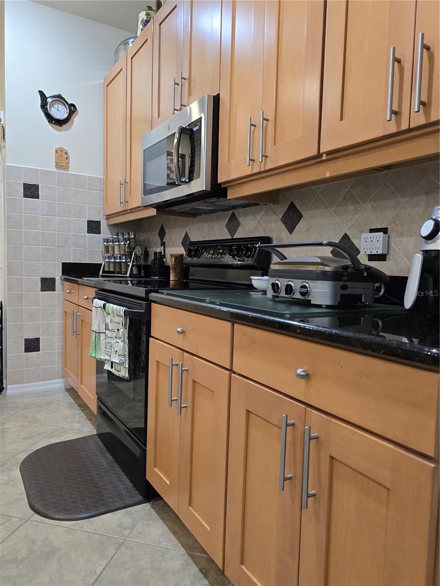 4063 BIRKDALE DR, LAKE WALES, FL, 33859