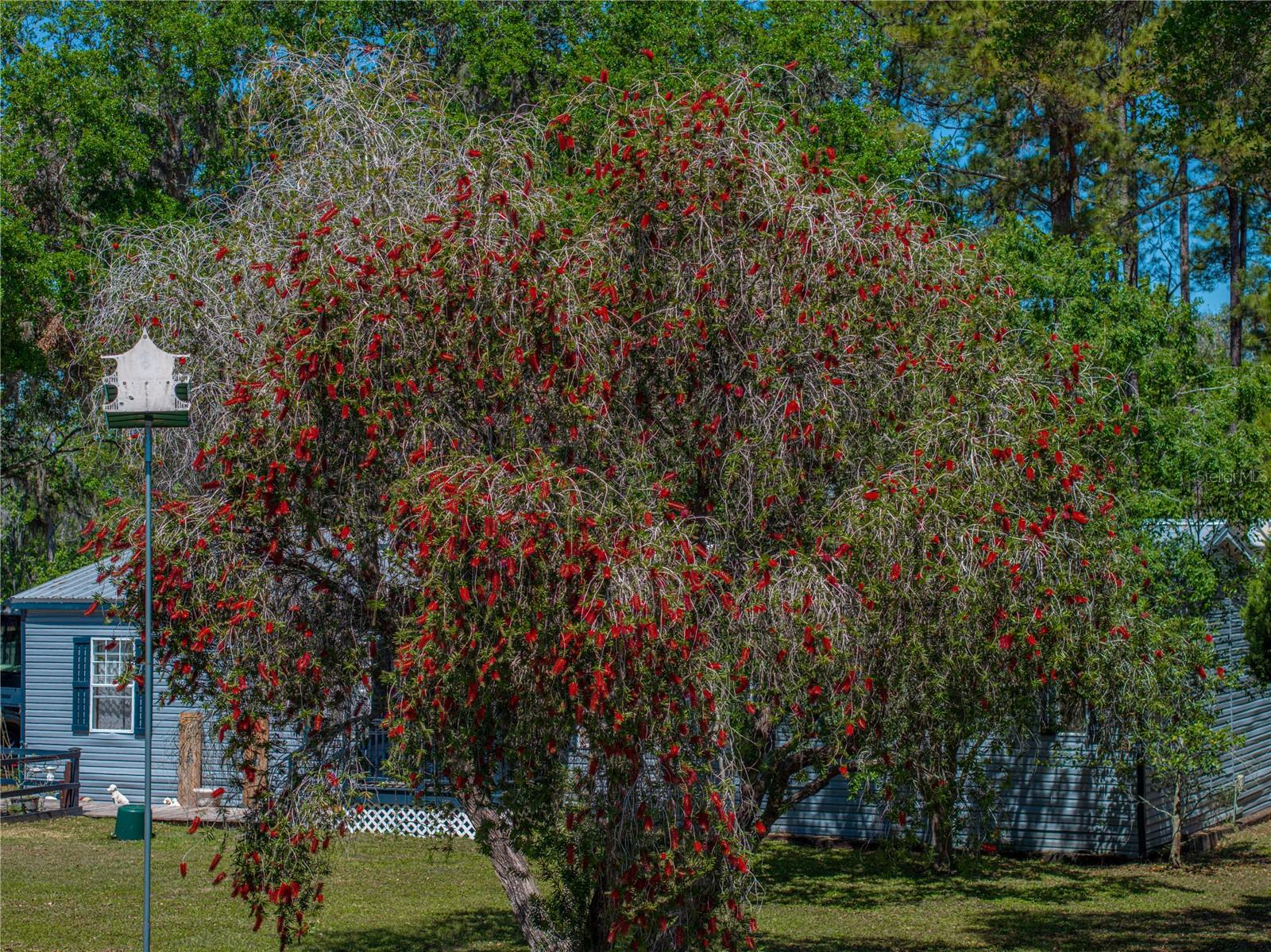 30237 SAINT JOE RD, DADE CITY, FL, 33525