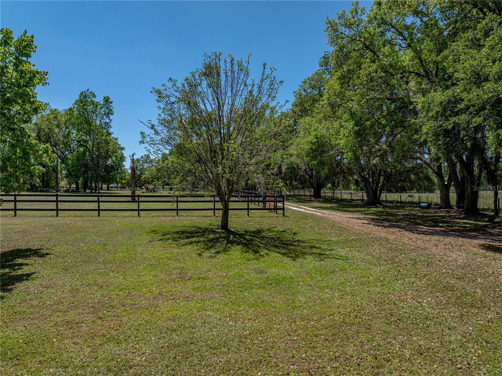 30237 SAINT JOE RD, DADE CITY, FL, 33525