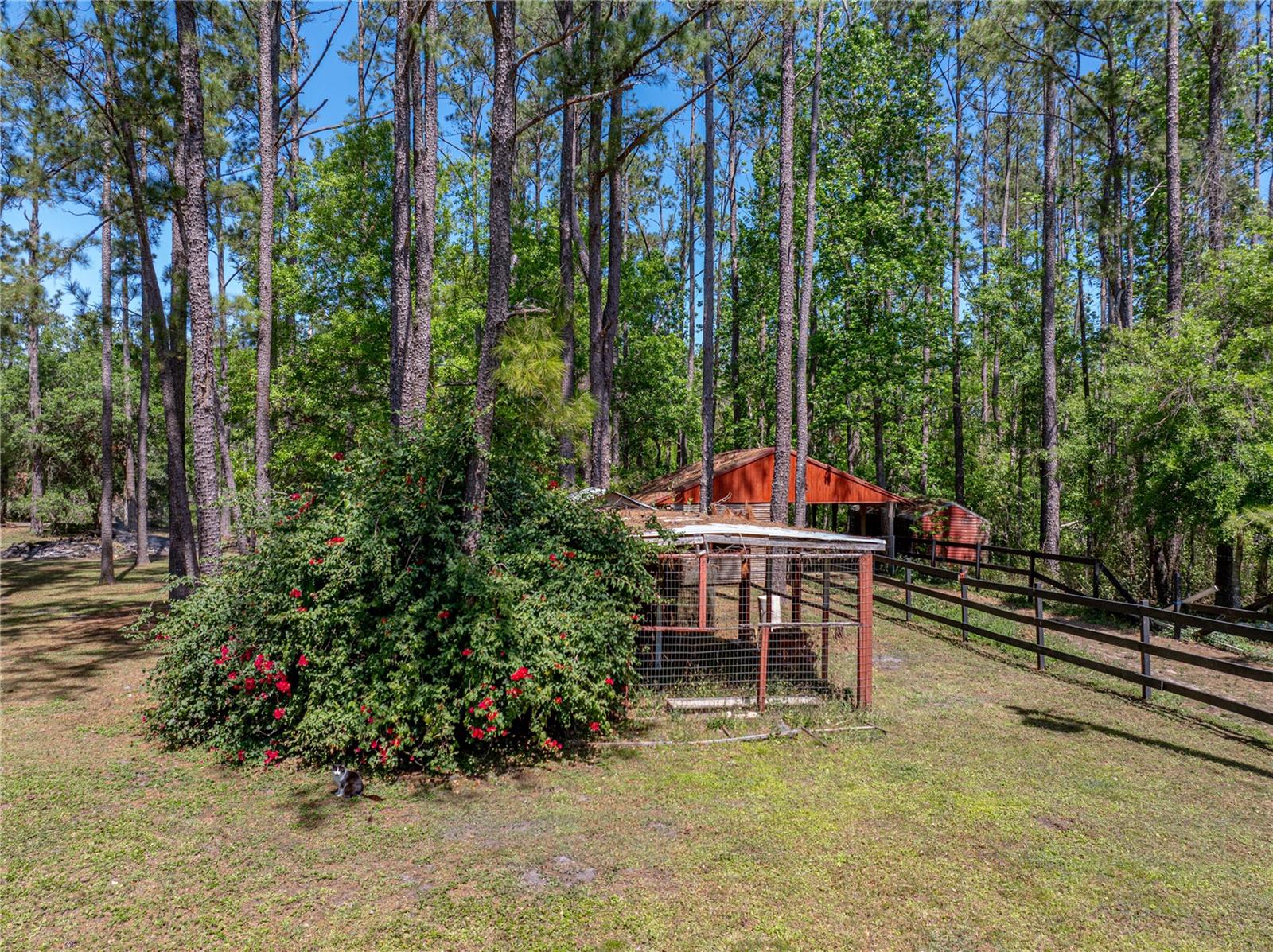 30237 SAINT JOE RD, DADE CITY, FL, 33525