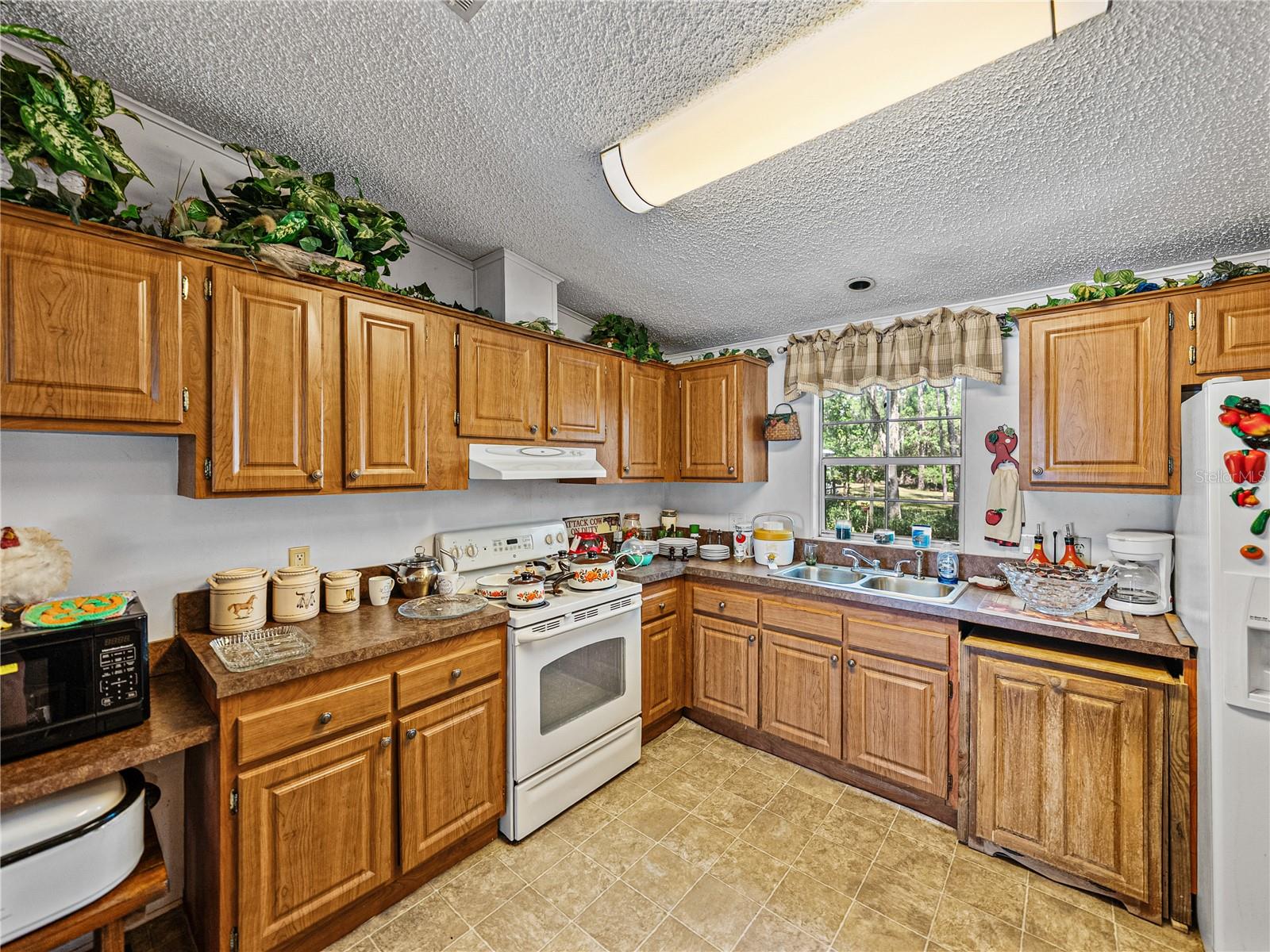 30237 SAINT JOE RD, DADE CITY, FL, 33525