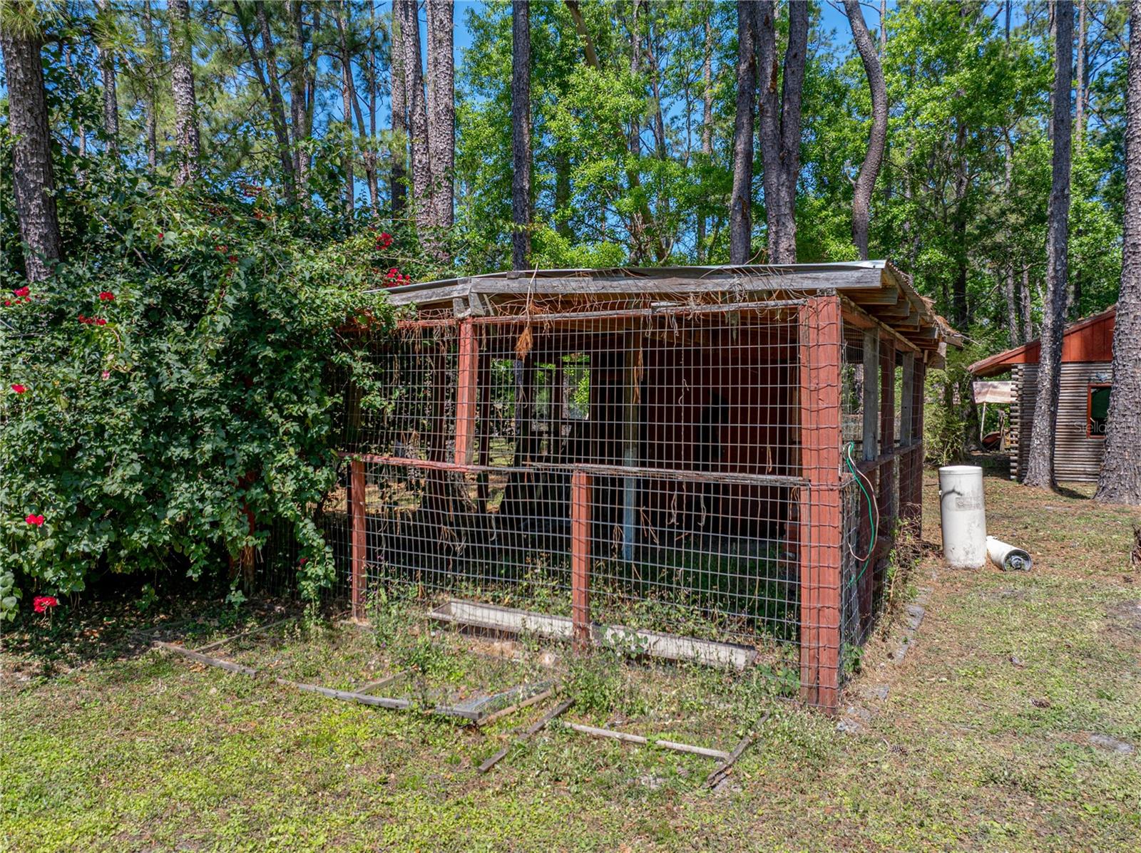 30237 SAINT JOE RD, DADE CITY, FL, 33525