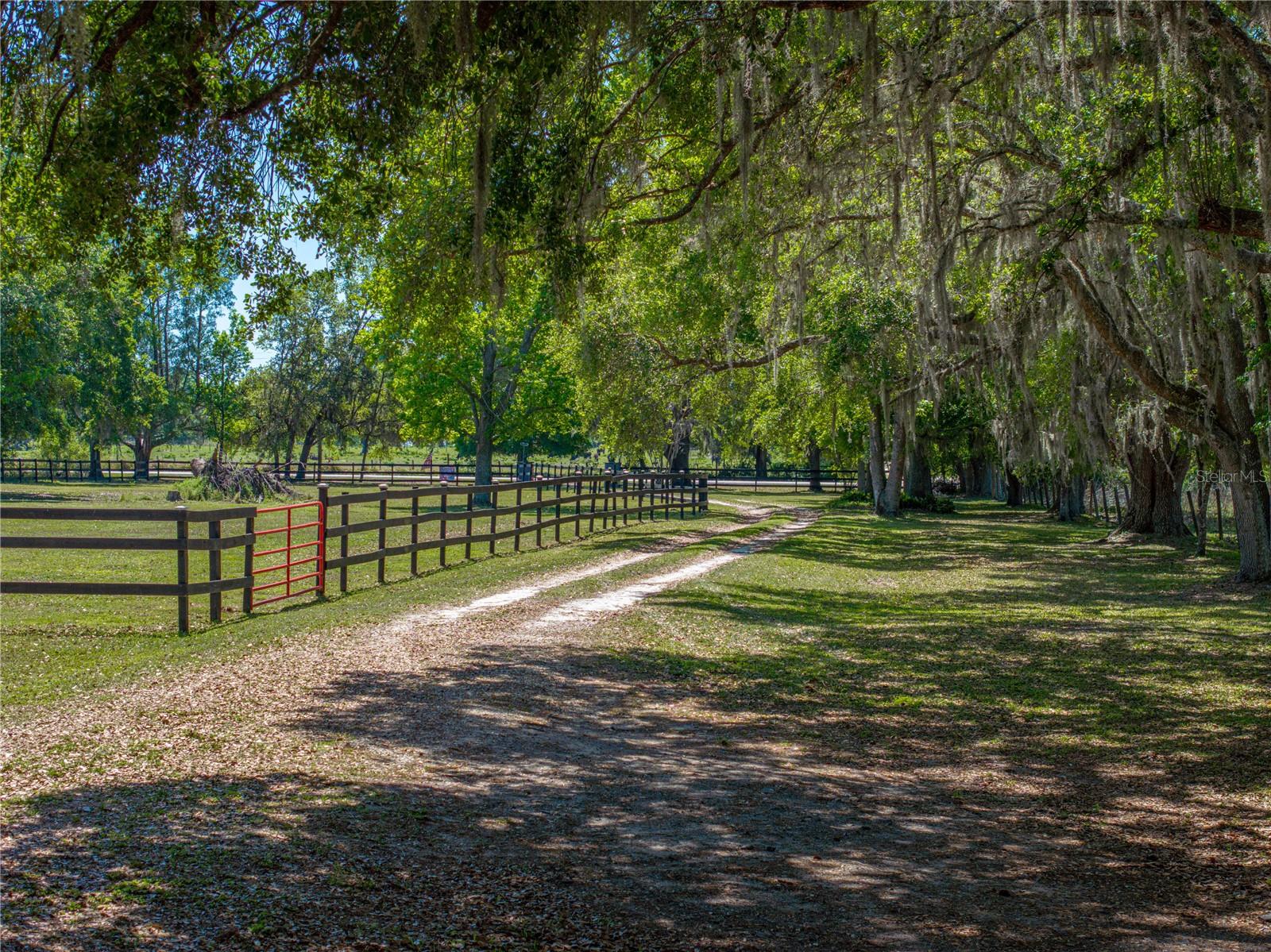 30237 SAINT JOE RD, DADE CITY, FL, 33525