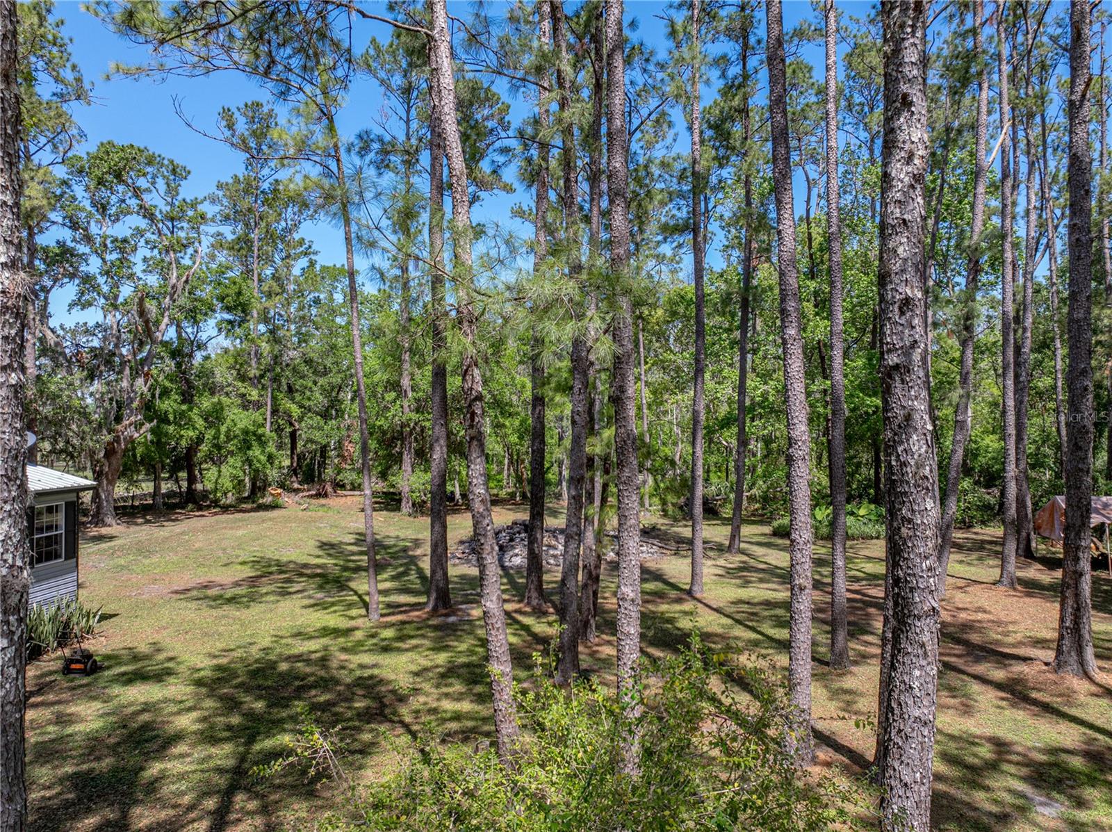 30237 SAINT JOE RD, DADE CITY, FL, 33525