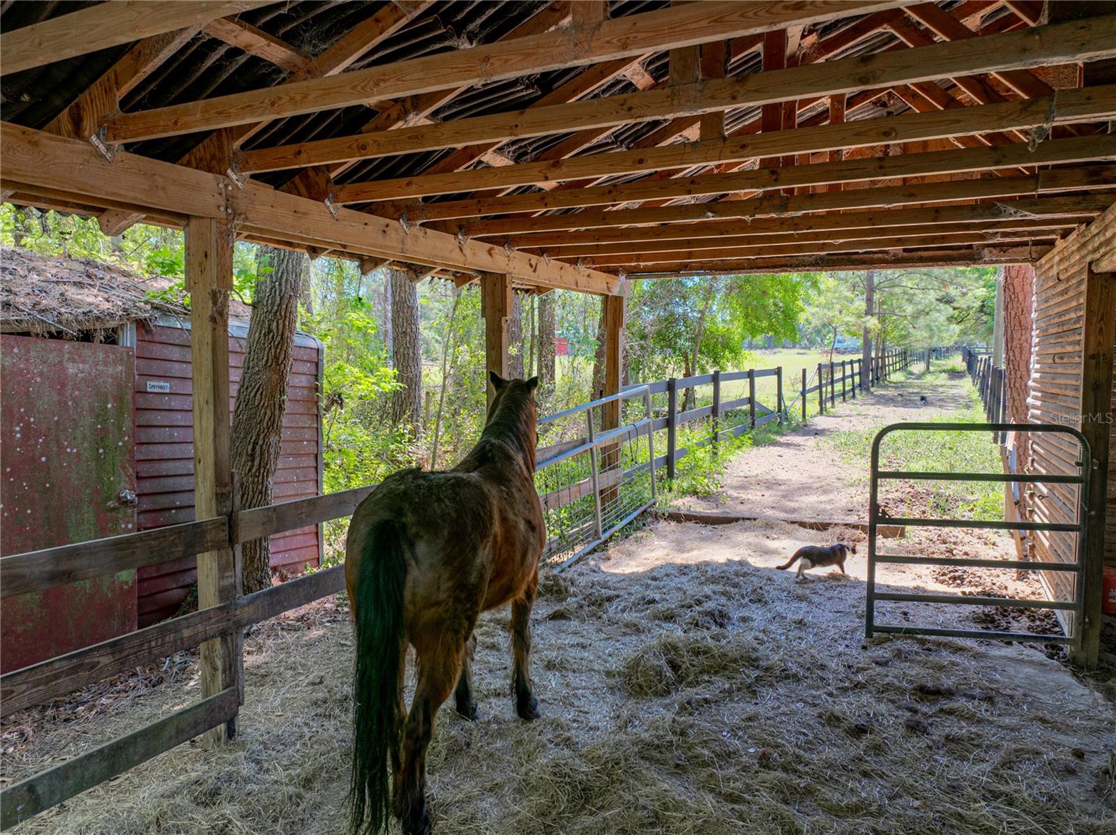 30237 SAINT JOE RD, DADE CITY, FL, 33525