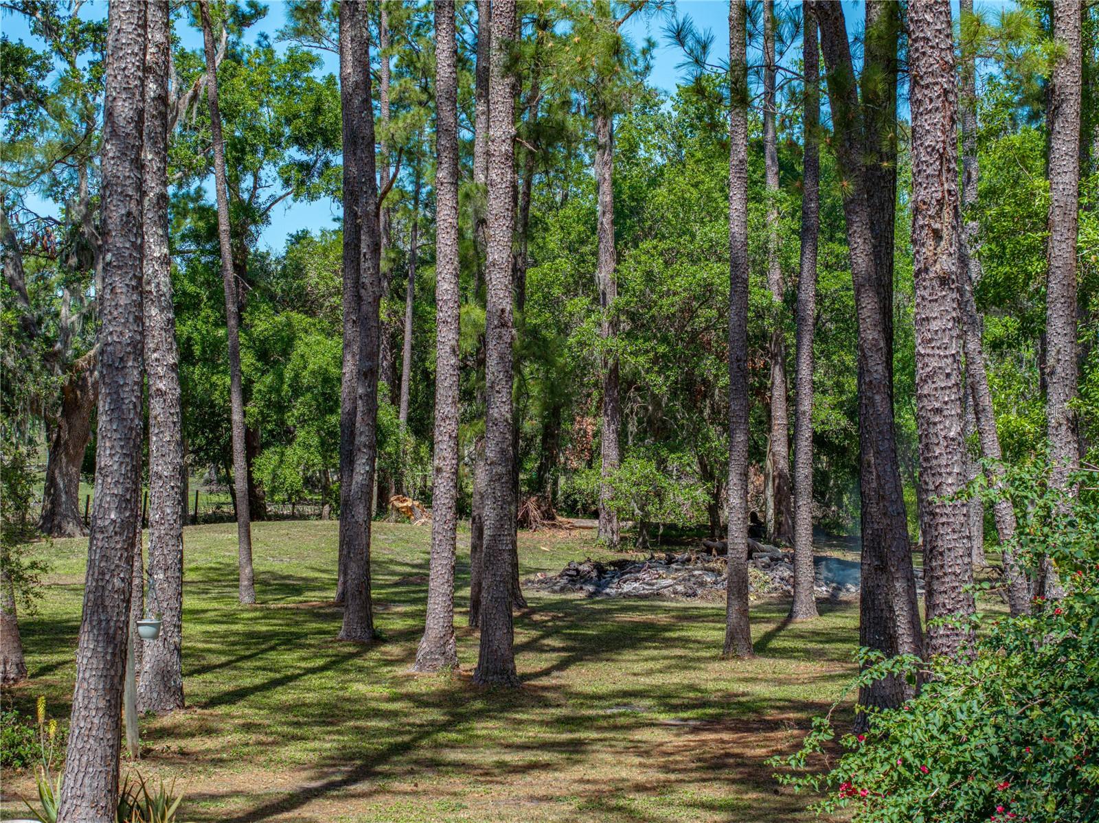 30237 SAINT JOE RD, DADE CITY, FL, 33525