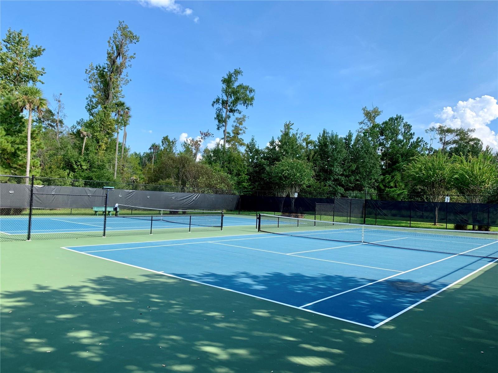 1077 SHADOWMOSS CIR, LAKE MARY, FL, 32746