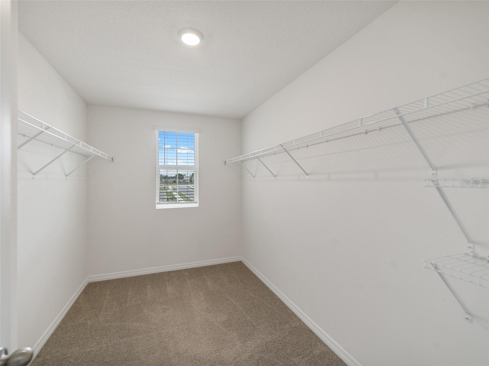 7403 SAIL CLOVER LN, ZEPHYRHILLS, FL, 33540