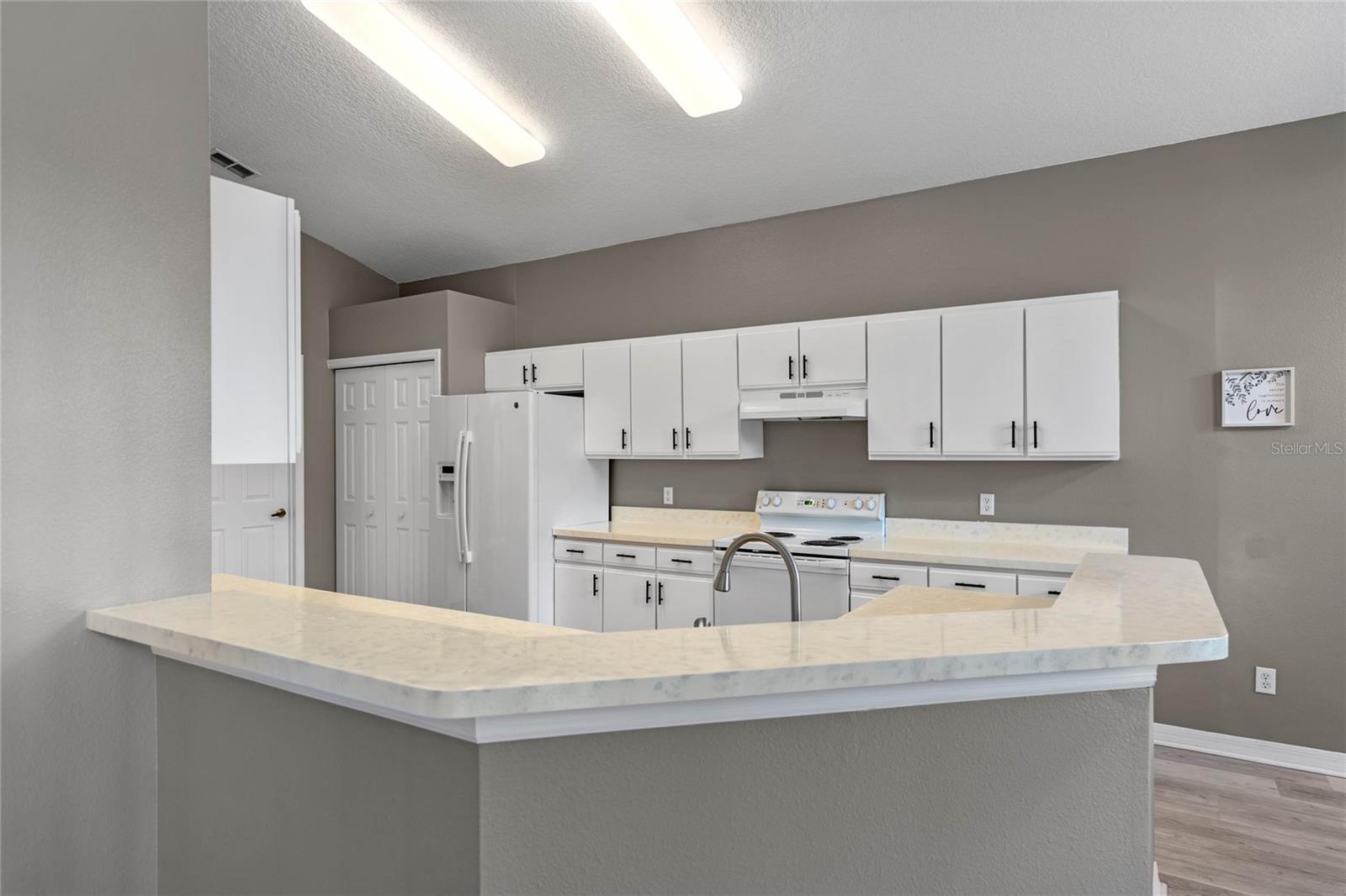 231 RIDGE VIEW DR, DAVENPORT, FL, 33837